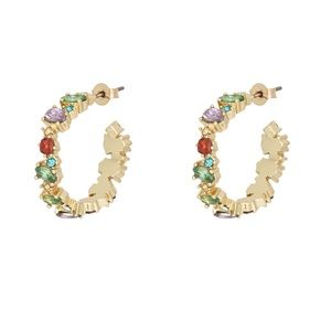 NWT & Other Stories Glass Stone Hoop Earrings